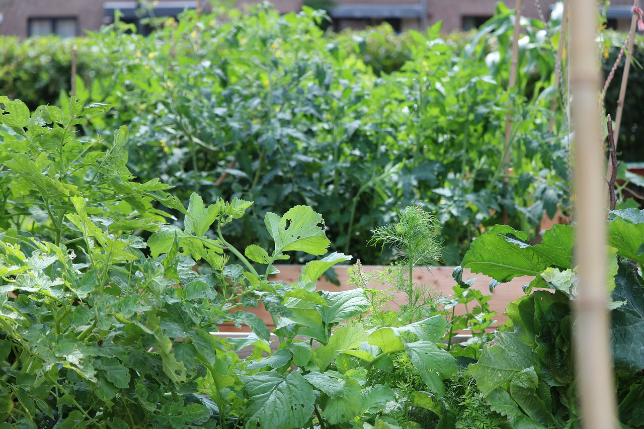 How to Create a Raised Garden Bed with Recycled Materials